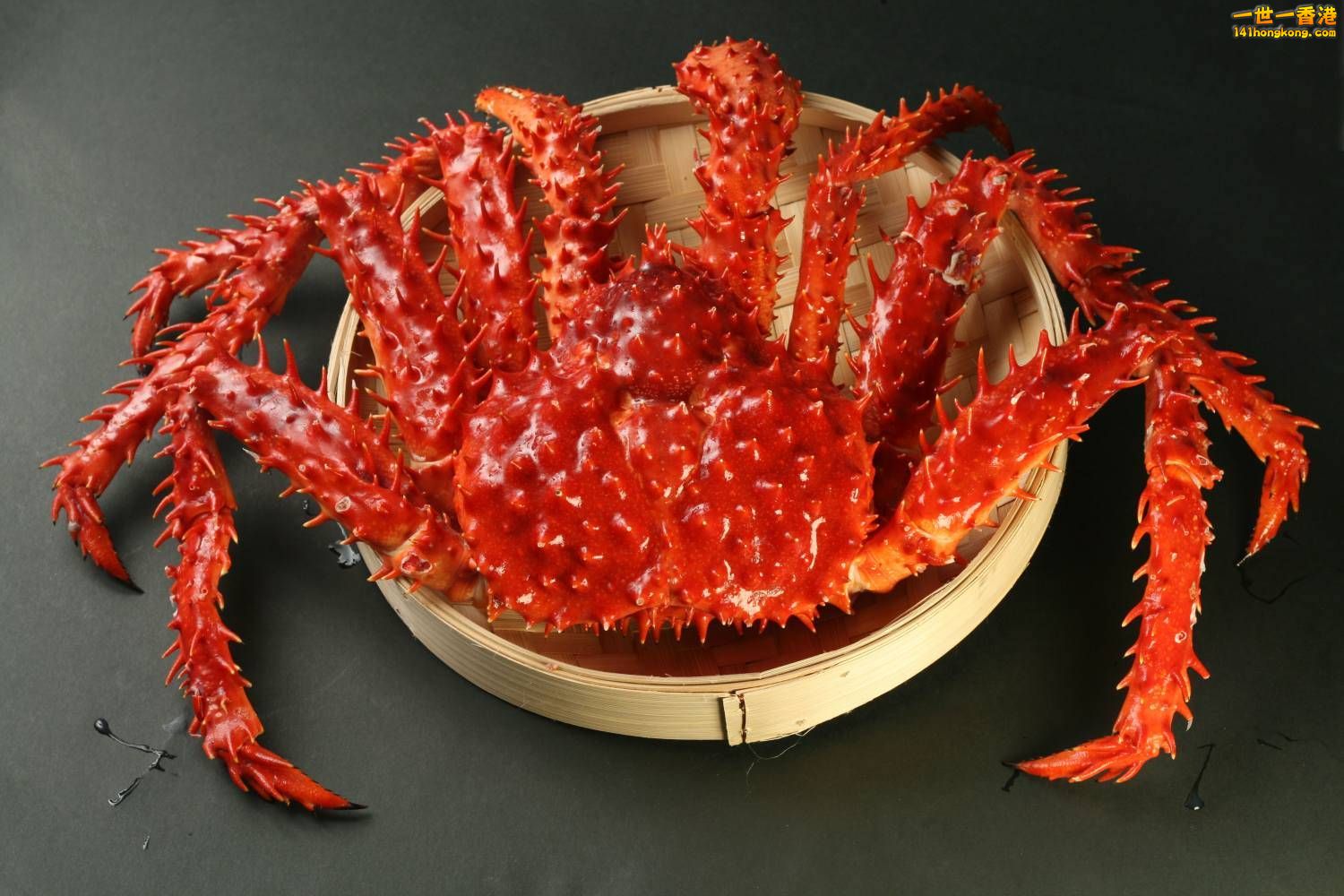 皇帝蟹.jpg