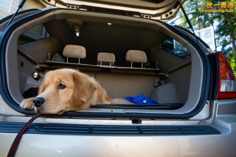 ef58f036632bc5c1f44b1219e01c8765_L 800.jpg