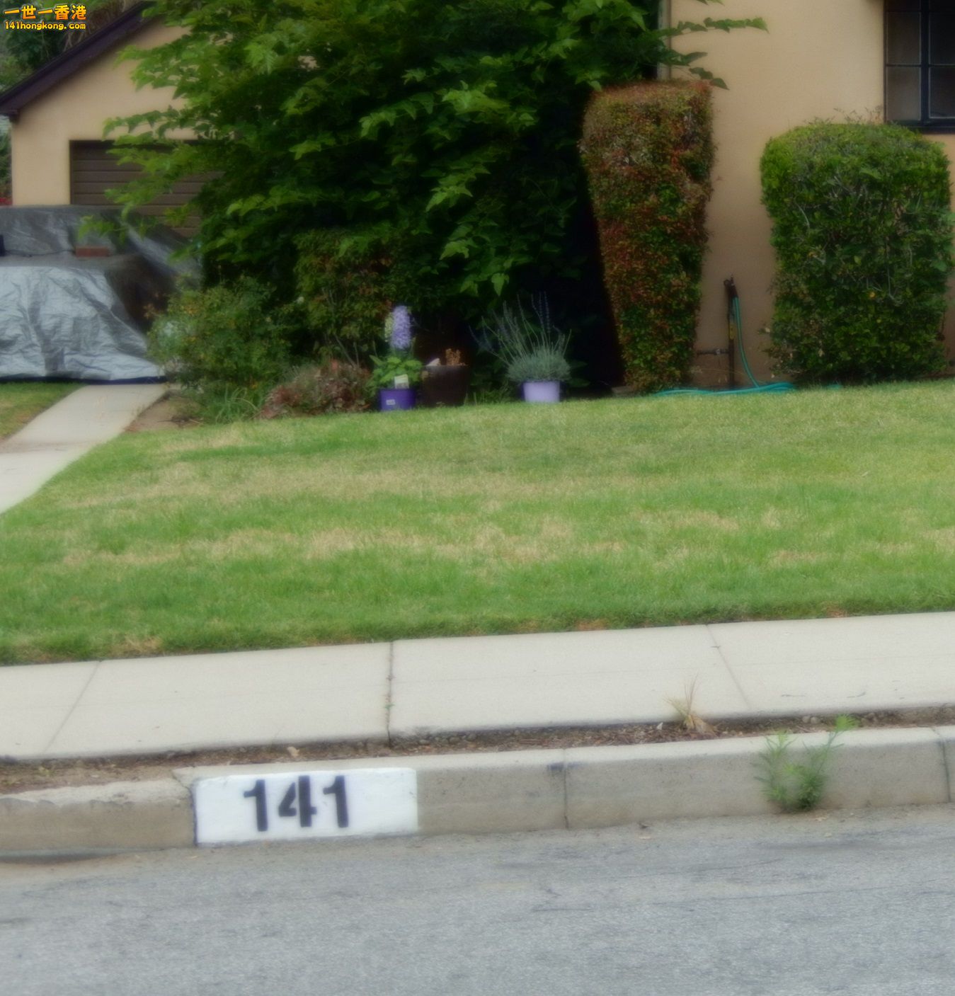 DSCN0077.JPG