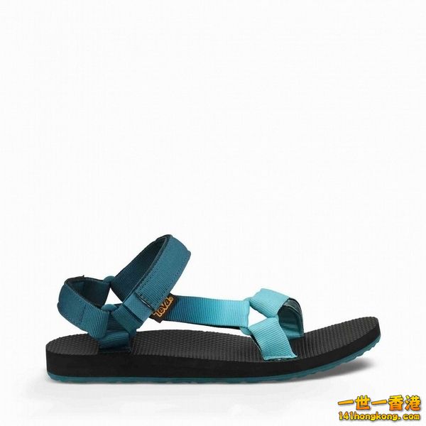 TEVA03.jpg