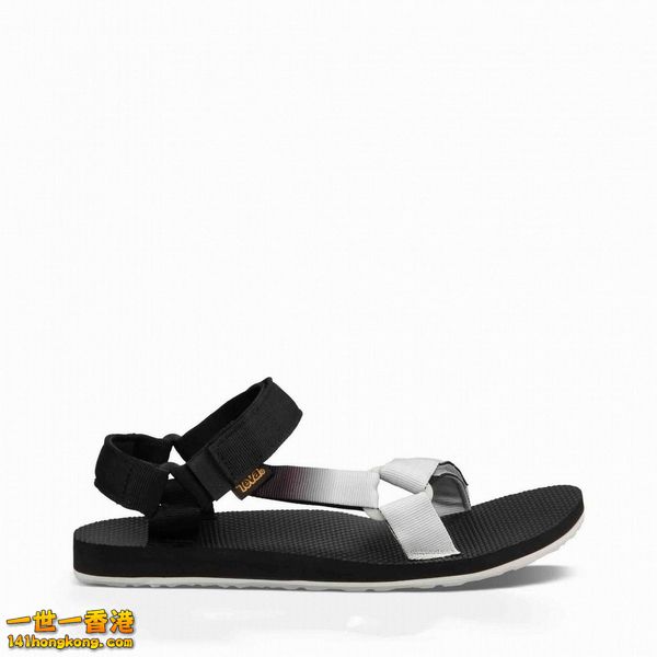 TEVA05.jpg