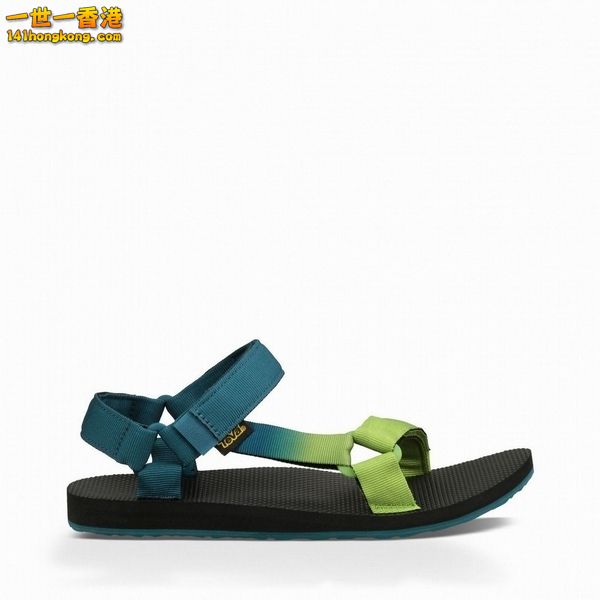 TEVA06.jpg