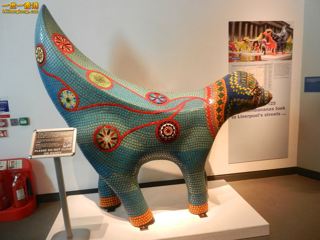 DSCN6121.JPG