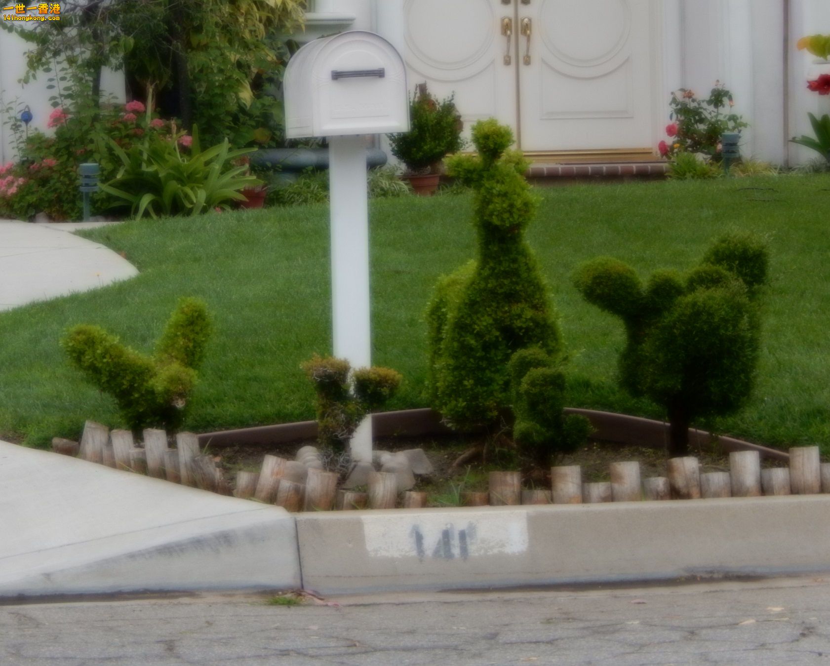 DSCN0064.JPG
