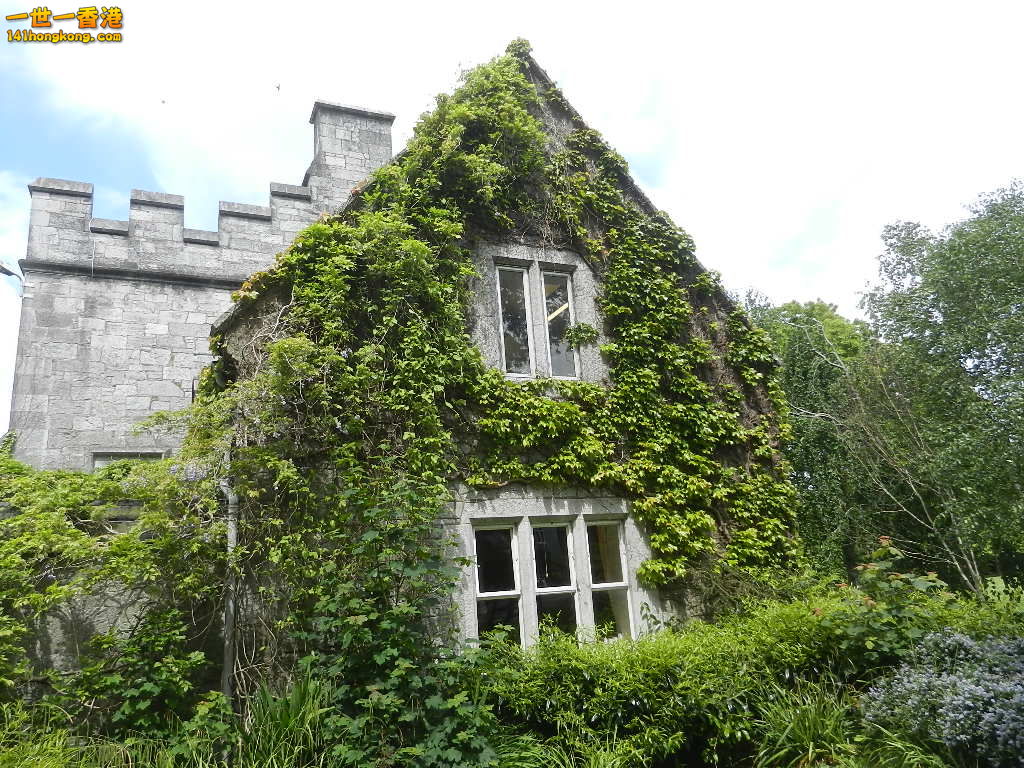 DSCN5781.JPG