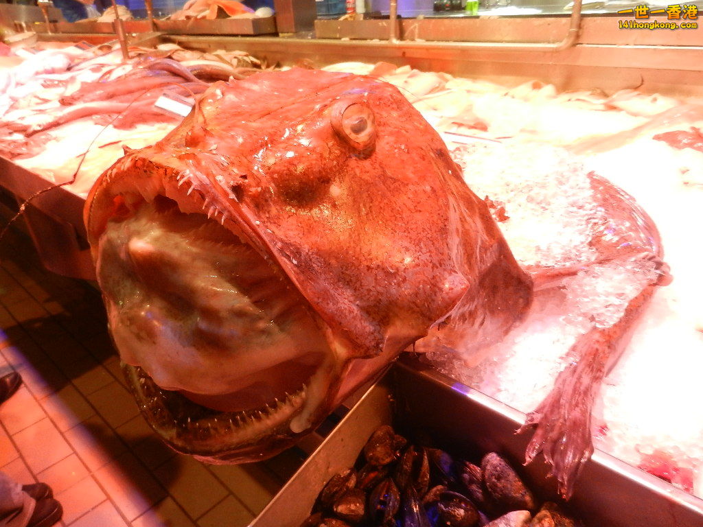 DSCN5808.JPG