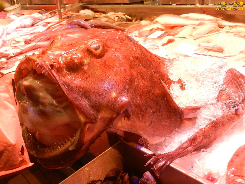 DSCN5809.JPG