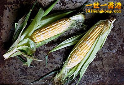 3.玉米.jpg