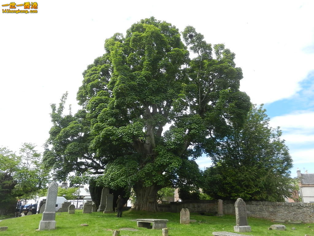 DSCN6440.JPG