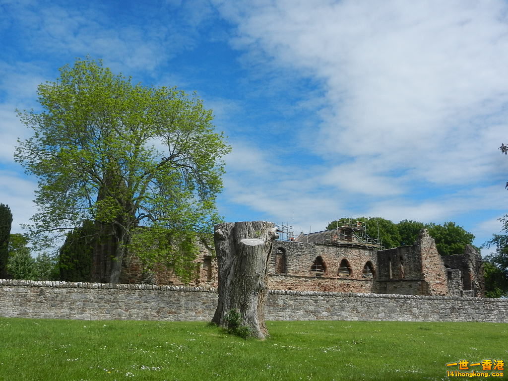 DSCN6451.JPG
