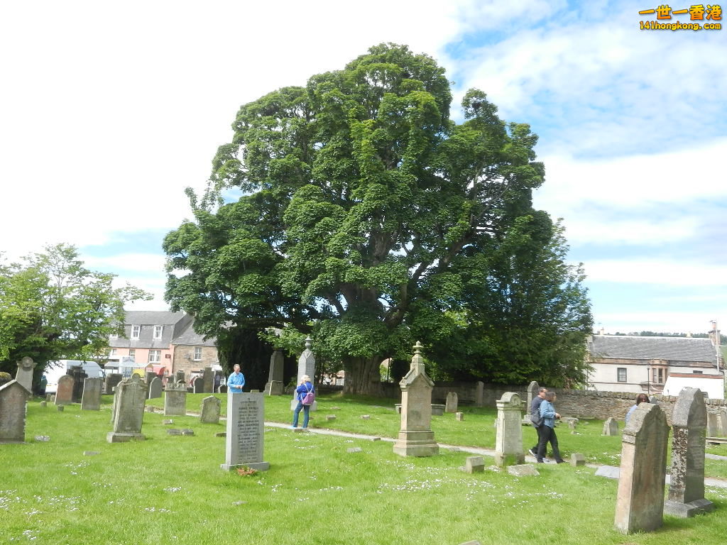 DSCN6449.JPG