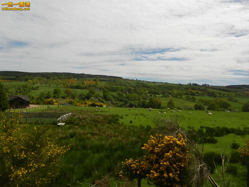 DSCN6463.JPG