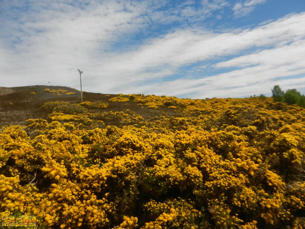DSCN6480.JPG