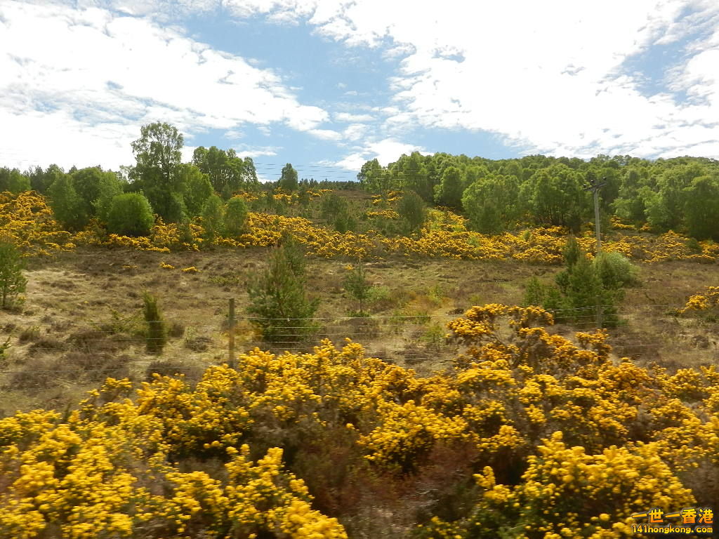 DSCN6478.JPG