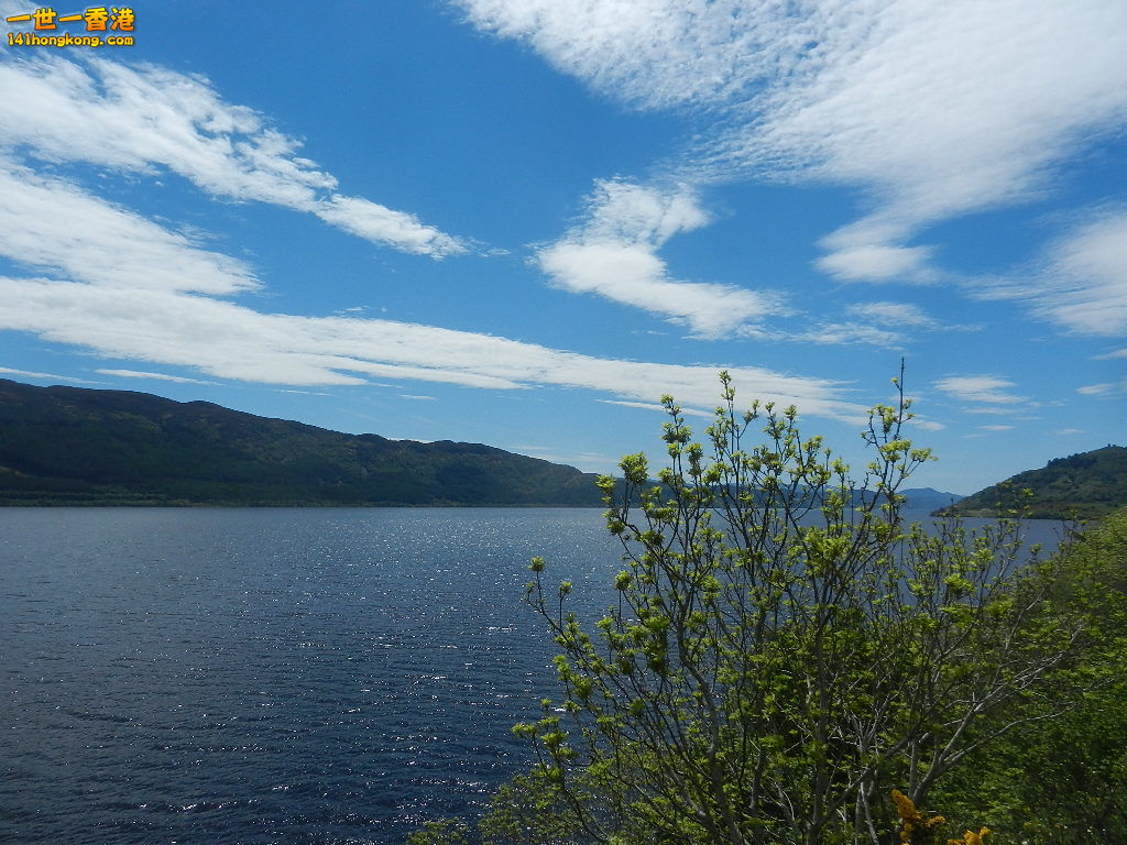 DSCN6493.JPG