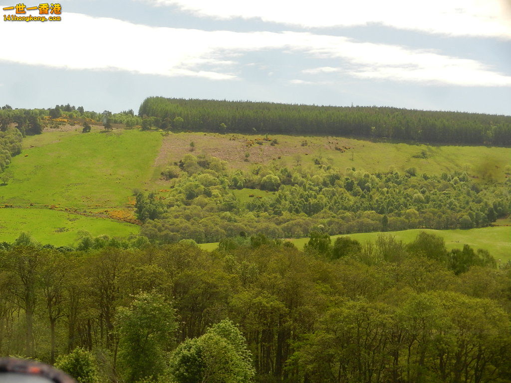 DSCN6488.JPG