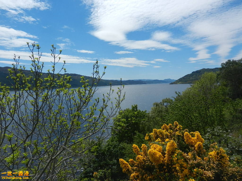 DSCN6501.JPG
