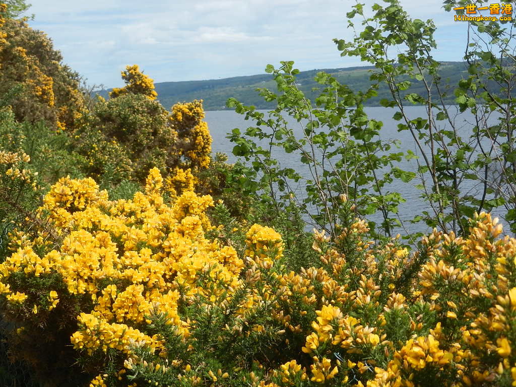 DSCN6504.JPG