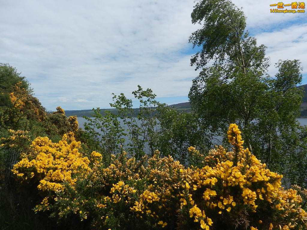 DSCN6508.JPG