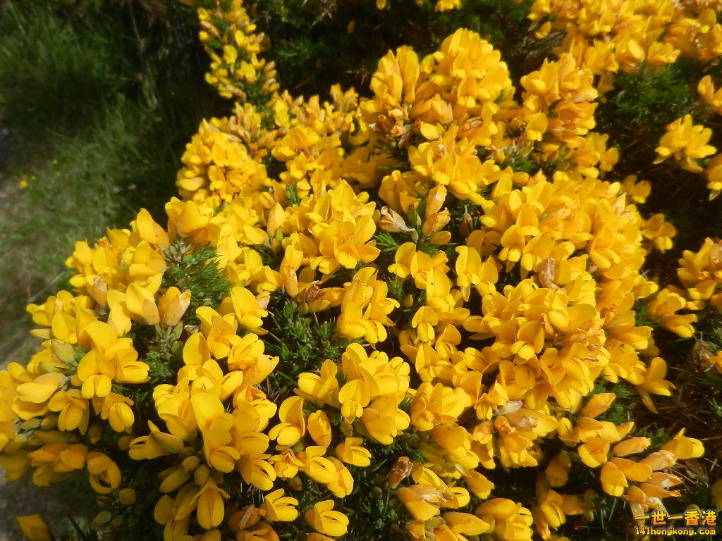 DSCN6510.JPG