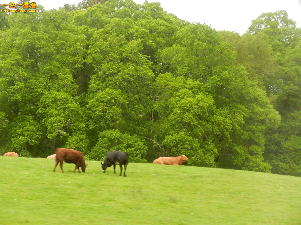 DSCN6514.JPG