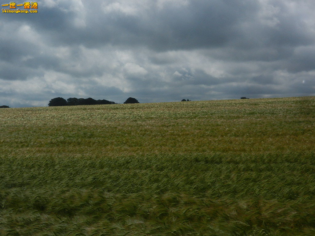 DSCN6871.JPG