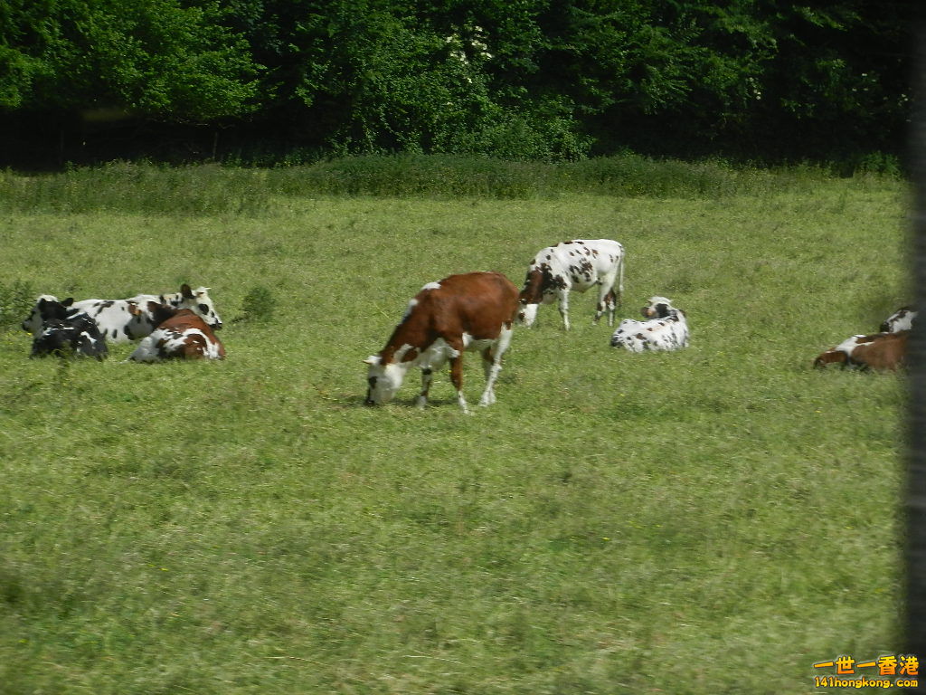 DSCN6873.JPG