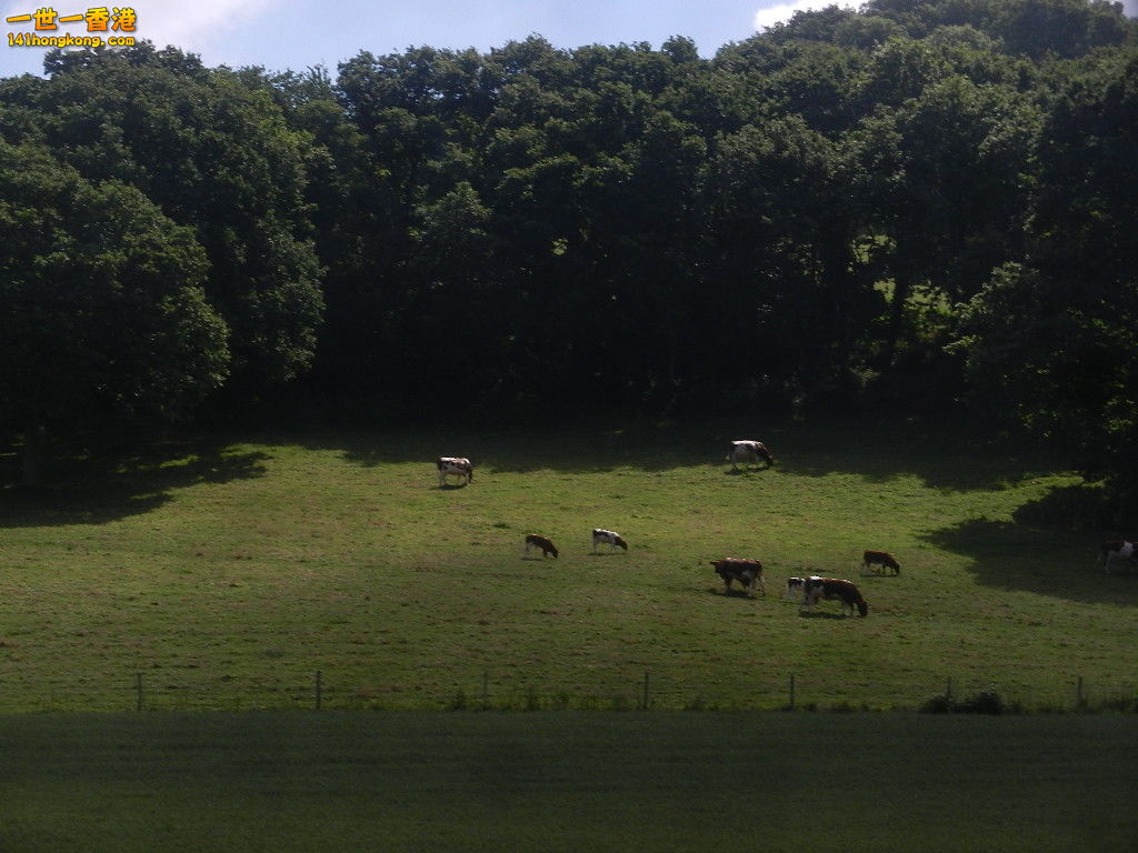DSCN6872.JPG