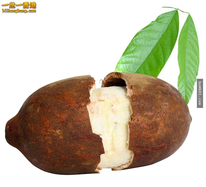 ▼15. 古布阿蘇果（Cupuacu）.jpg