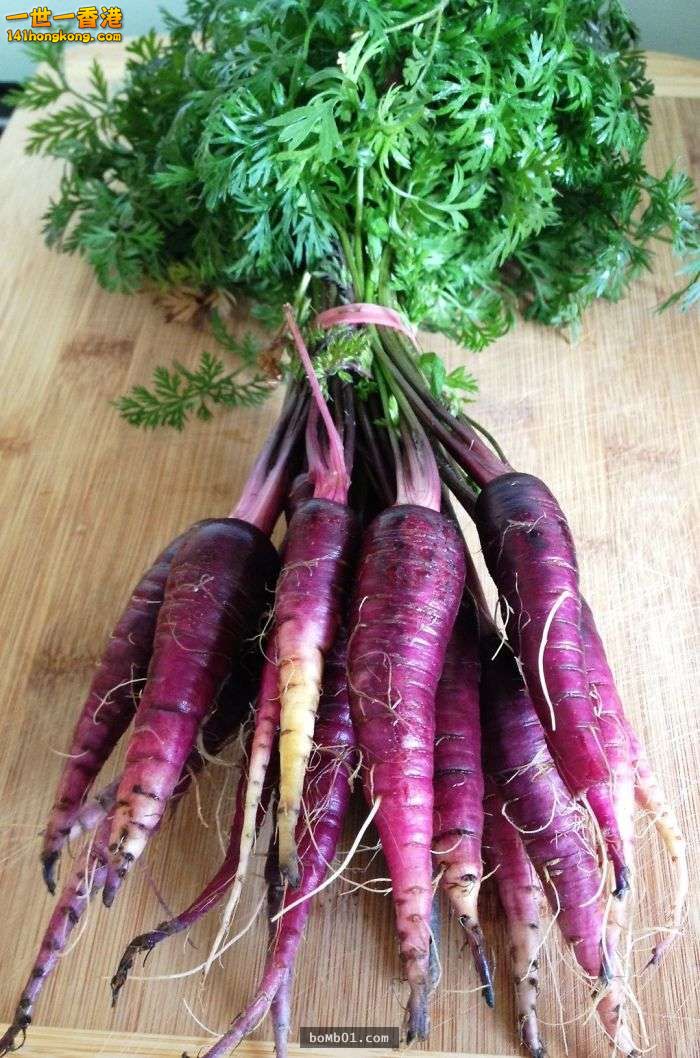 ▼19. 紫色胡蘿蔔.jpg