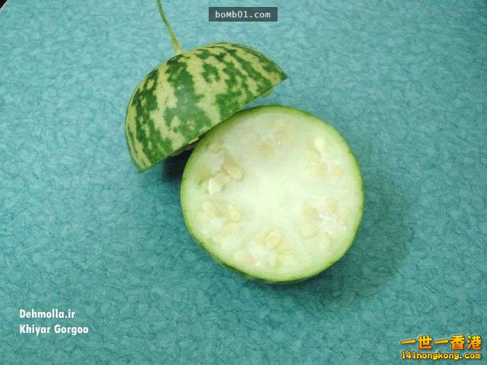 ▼21. 苦西瓜（Abu Jahl，英語稱Colocynthis）2.jpg