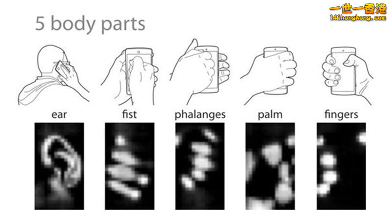 31300543295329143573604161748.jpg
