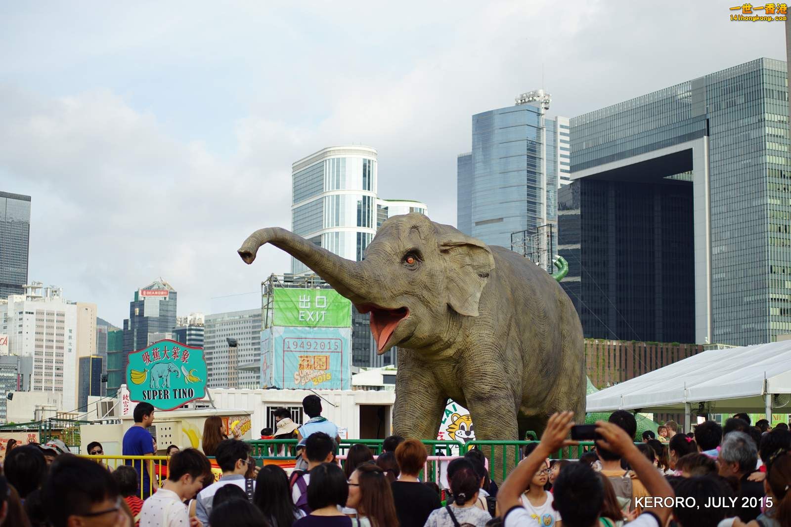 DSC08809.jpg