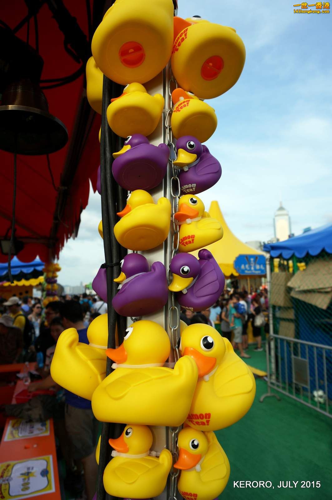 DSC08817c.jpg