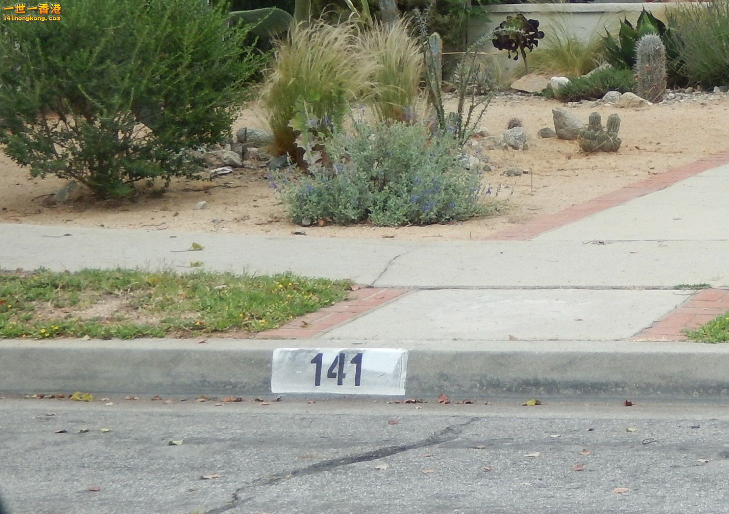 DSCN0080.JPG