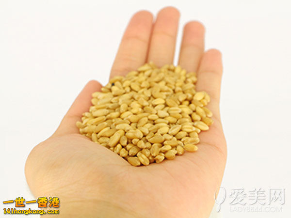 血管清道夫——小麦胚芽.jpg