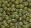 綠豆lvdou.jpg