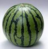 西瓜xigua.jpg