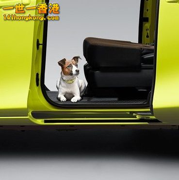 y8bERQG0U7LqTB8-750x (1)jj.jpg