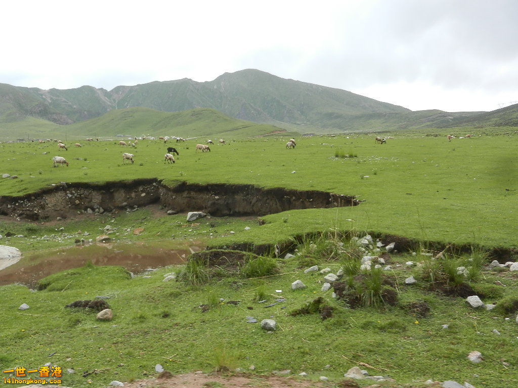 DSCN8525.JPG