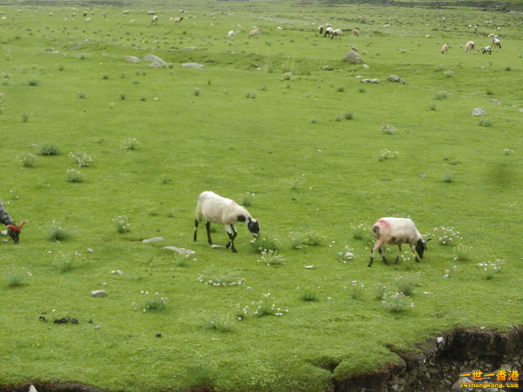DSCN8527.JPG