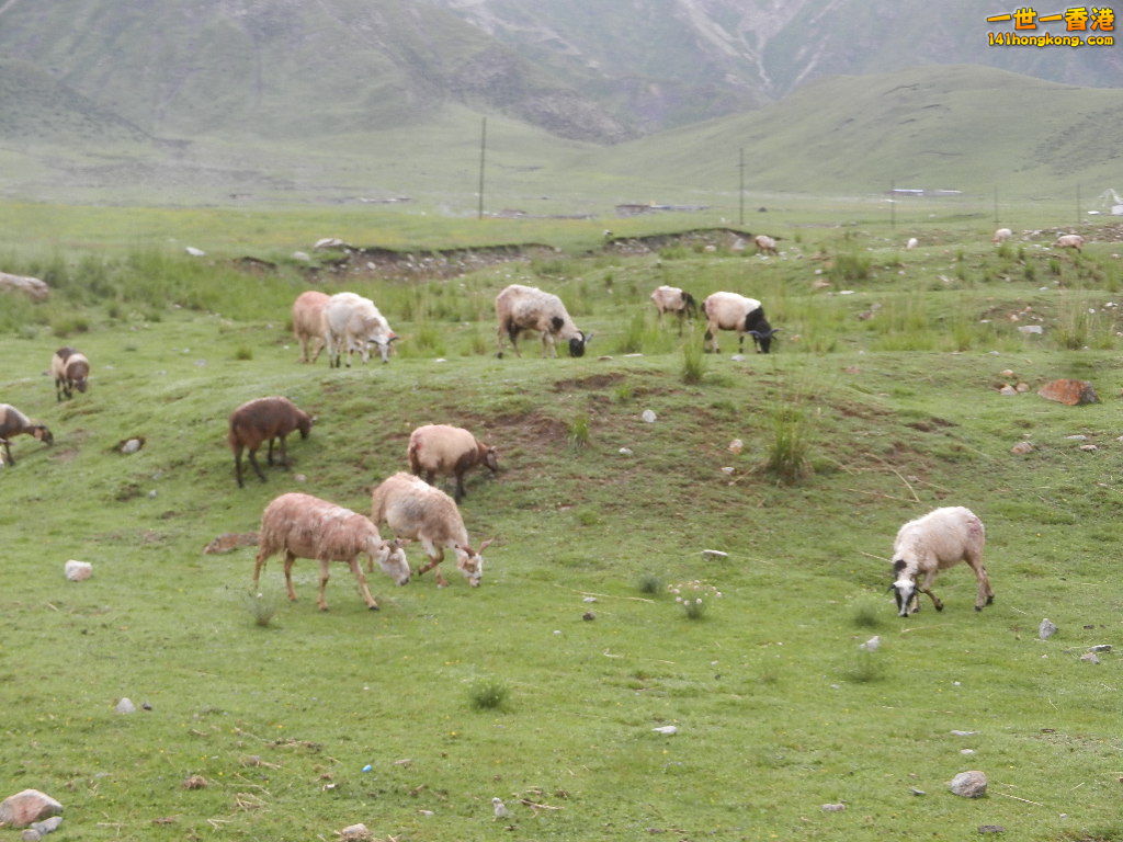 DSCN8531.JPG