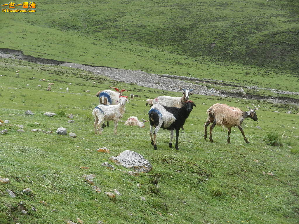 DSCN8533.JPG