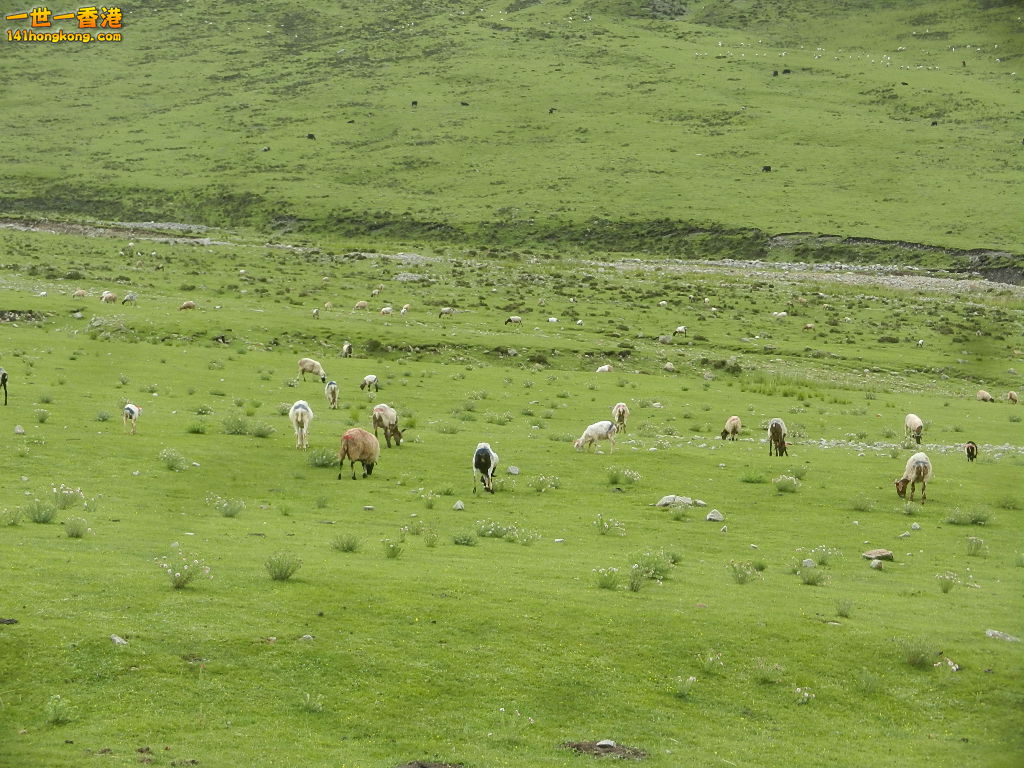 DSCN8538.JPG