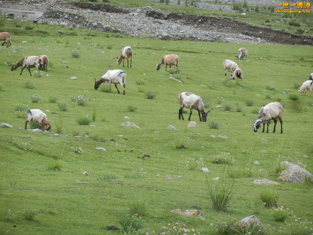 DSCN8543.JPG