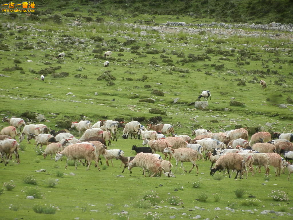 DSCN8553.JPG