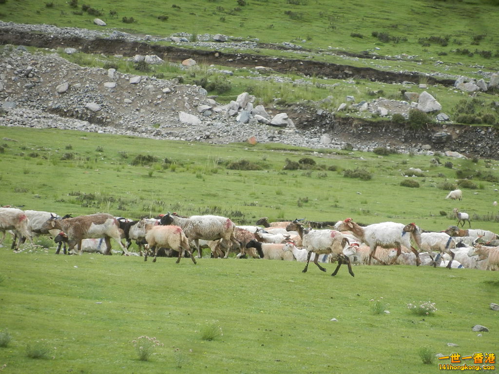 DSCN8550.JPG