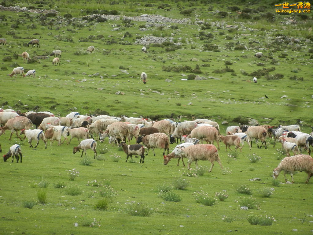DSCN8554.JPG