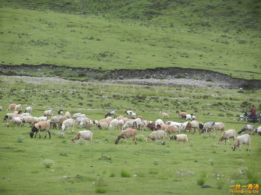 DSCN8558.JPG