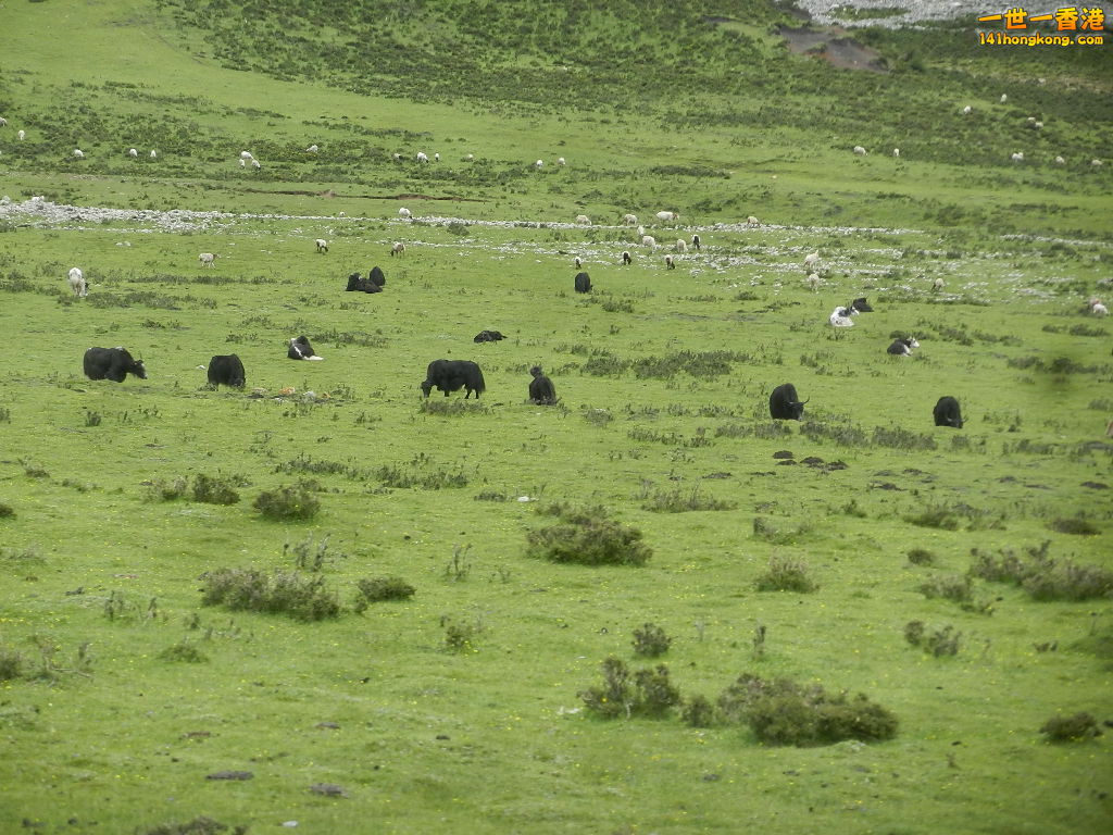 DSCN8582.JPG